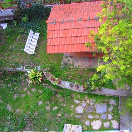 Villa Sofia Limenaria  Exteriör bild